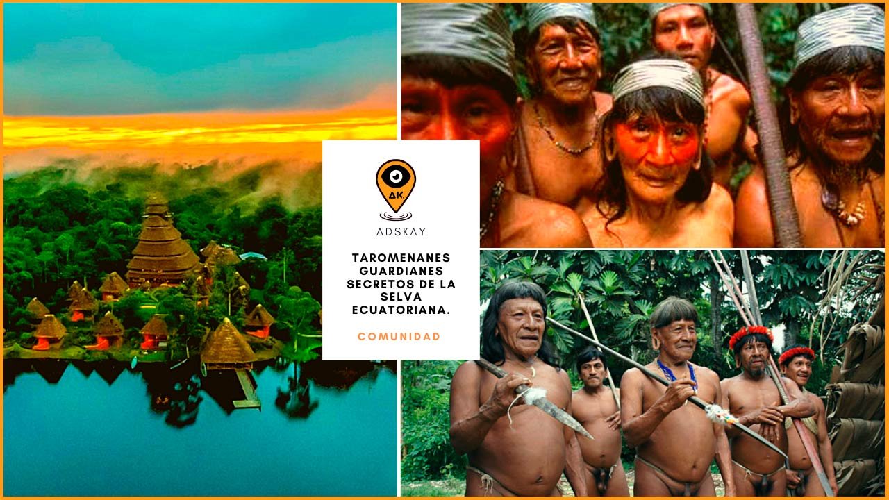 Conoce a los guardianes secretos de la selva ecuatoriana